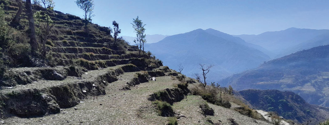 बाजुराका अधिकांश स्थानीयतहमा सिँचाइ नहुँदा बर्सेनि खेतीयोग्य जमिन बाँझो राख्न बाध्य